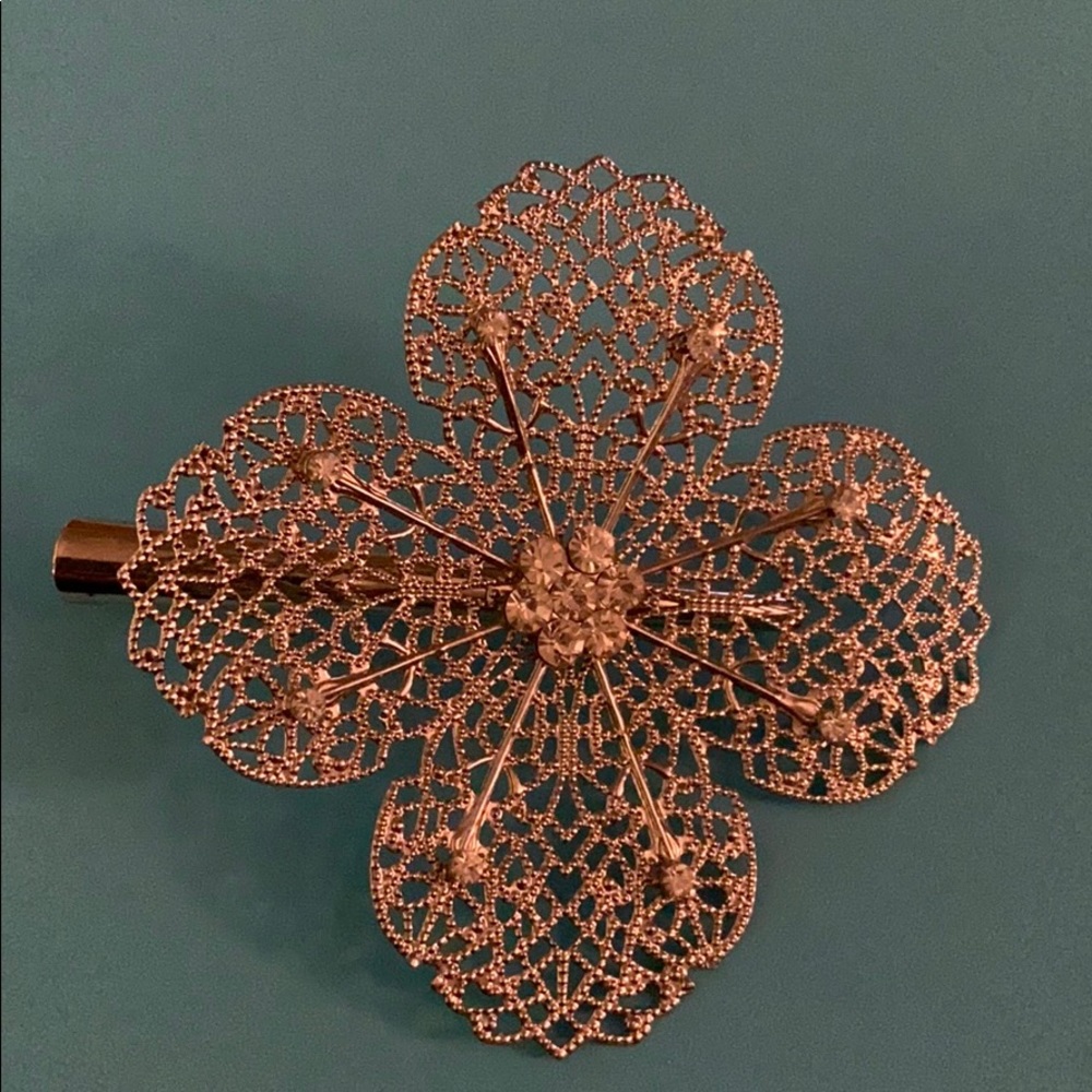 Silver hair clip